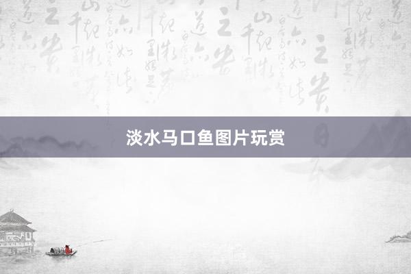 淡水马口鱼图片玩赏